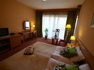 Hotel - Restaurant Gonduzo