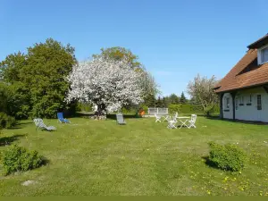 Pension Schwalbenhof