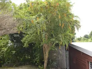 빌라 헬레나 샬레