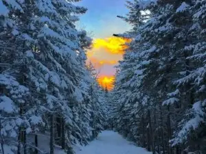 The Craftsman Farmhouse with Modern Flair