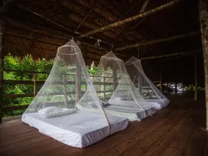 Ditsowou Lodge & Tours
