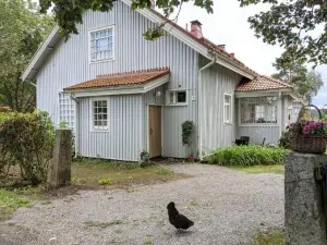 Narvan Maatilamajoitus Helenan Kanat ja Kammarit