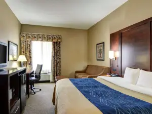 Comfort Inn & Suites Conway