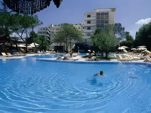 호텔 브리스톨 부자