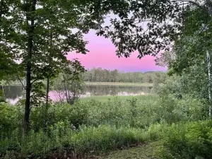 The Lakeside Eagle's Nest Near the Trail