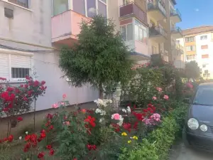 Cazare Medias, Apartament Modern