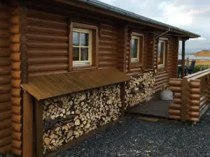 Log Cabin at White River
