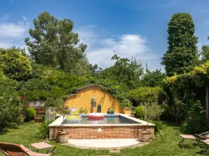 Le Rez de Jardin Albi