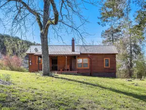 Serene Guion Cabin < 1 Mi to the White River!