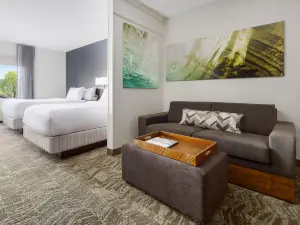 スプリングヒル スイーツ マンチェスター - ボストン リージョナル エアポート