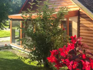 Awesome Home in Crni Vrh Nad Idrijo with Wifi and 1 Bedrooms