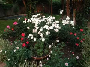 Anne's Place