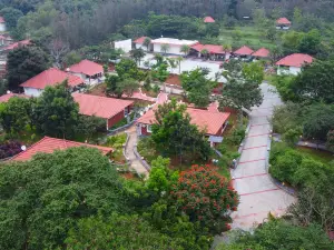 Aara Jungle Resort