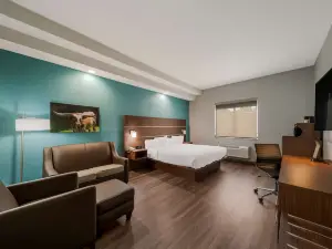 Best Western Bowie Inn  Suites