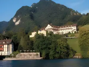 See- Und Seminarhotel FloraAlpina Vitznau