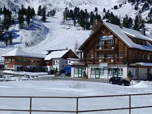 Apartment in Alps Near Ski Slopes