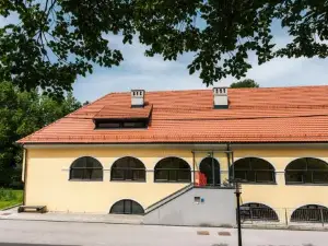Dvorec Trebnik - Sobe