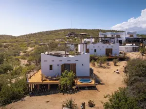 Nest Baja