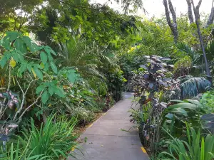 Hotel Colinas Del Sol