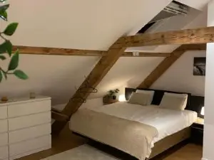 Eine schöne Wohnung an der Birs