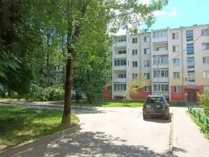 Uyutny ugolok Tsentr ryadom Flat