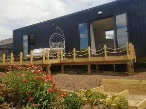 BRAND NEW Perfect tiny home in Mangawhai