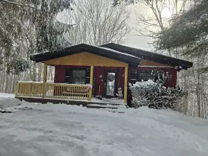 Skiers View: Less Than 10 Mins to State Parks + Big View/Deck/Grill Etc
