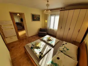 Chalet and Apartment Žonir with Sauna