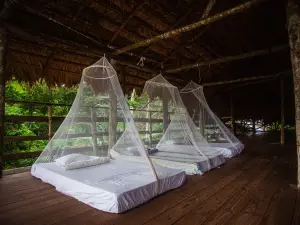 Ditsowou Lodge & Tours