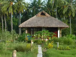 Budi Sun Resort