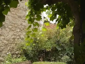 임페리얼 파인 어코모데이션