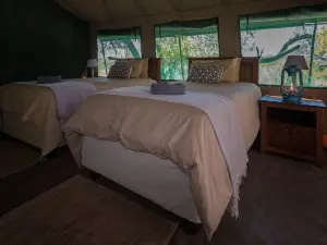 Nkwe Safari Lodge