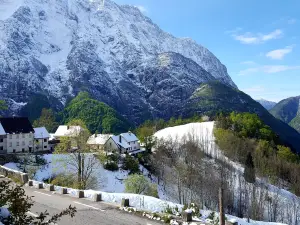 Apartma Pohar- A Bit Different!