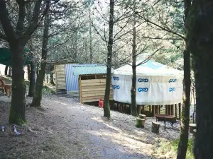 Mushroom Yurt Set in 4 Acres of Woodland and Lakes