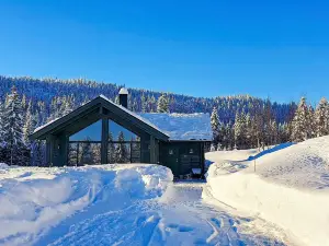 person holiday home in Passebekk-By Traum