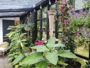Ezzo Guest House