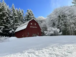 Luxury & charming cabin🏡 on seasonal ⛰️ stream in beautiful forest setting🌳