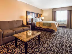 Comfort Inn Ballard-Roosevelt