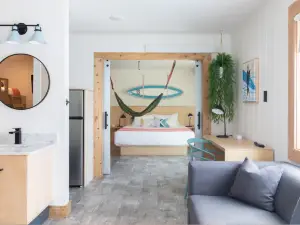 LOGE Camps Westport