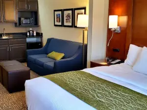 Comfort Inn & Suites Decatur-Forsyth