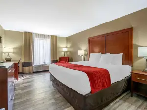 Comfort Inn Near Six Flags St Louis