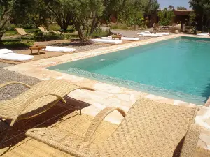 Les Jardins de Skoura