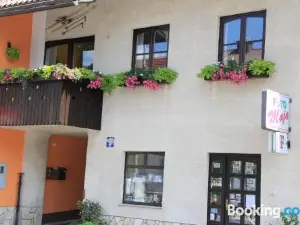 Apartment Apolon Planinski