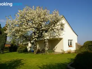 Ferienhaus Hummel-Nest
