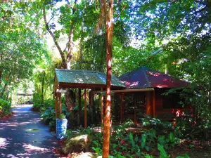 丹特里雨林療養飯店
