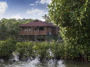 Vinis Farm - A Private Island Stay -Privacy Redefined !!!