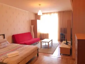 Apartment on Krasnyy Pereulok 5-1 9 Floor