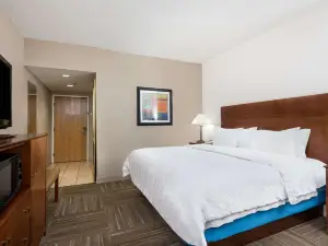 Hampton Inn Ft. Chiswell-Max Meadows