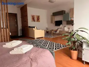 Flower Inn - Apartament 1