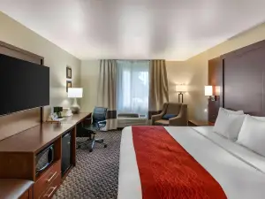 Comfort Inn Fairfield Napa Valley Area